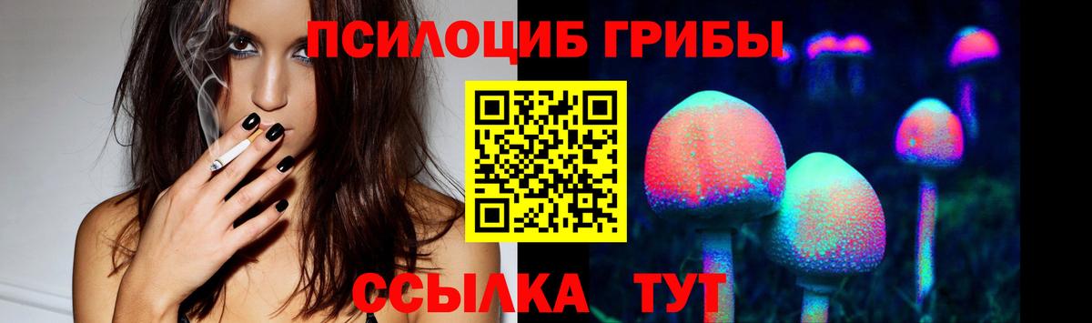 Псилоцибиновые грибы ЛСД Дубна